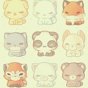 Meet your Posher, Siobhan